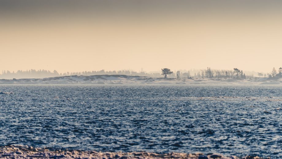 holmon_anderssons_ran_mars22_091_2160px_cjutsi